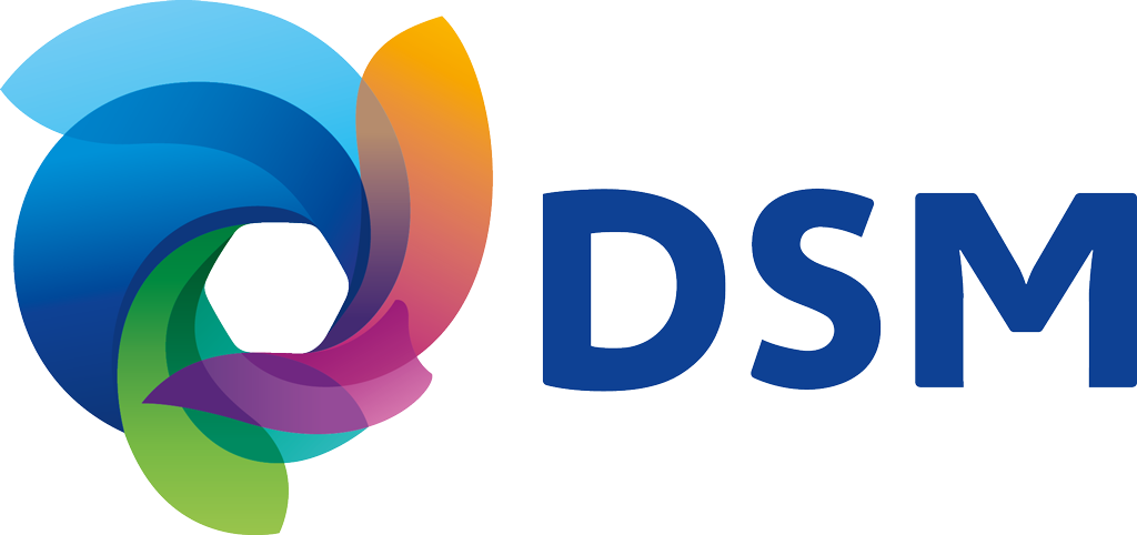 dsm-logo.png